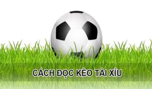 Bật Mí Cách Chơi Kèo Tài Xỉu Đỉnh Cao Mang Lại Lợi Nhuận Khủng