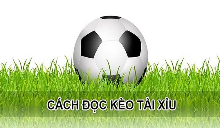 Bật Mí Cách Chơi Kèo Tài Xỉu Đỉnh Cao Mang Lại Lợi Nhuận Khủng
