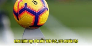 Tổng Hợp Kiến Thức Về Cách Chơi Kèo Chấp 0.5 Chuẩn Chuyên Gia