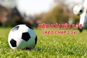 Hướng Dẫn Cách Chơi Kèo 2.75 Chi Tiết Nhất Dành Cho Người Mới